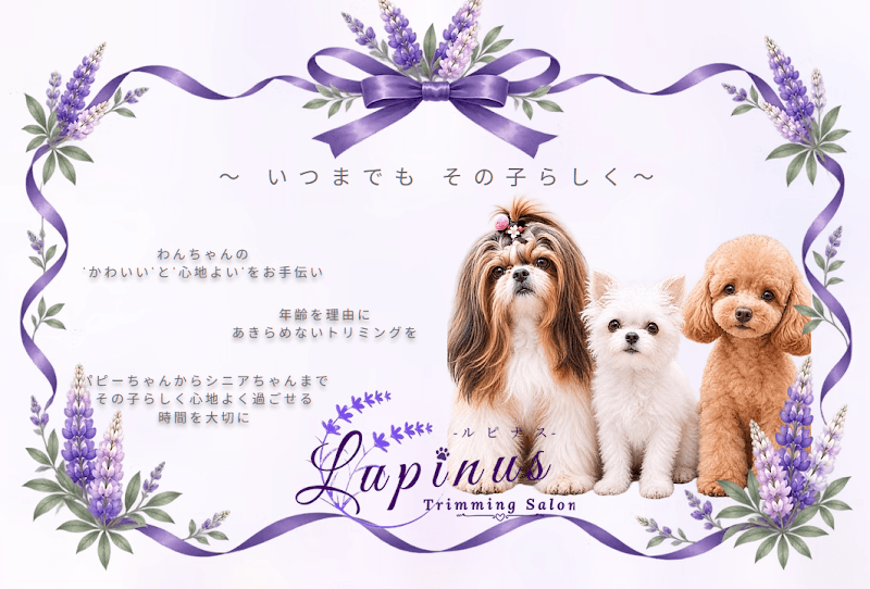 トリミングサロンルピナスの写真