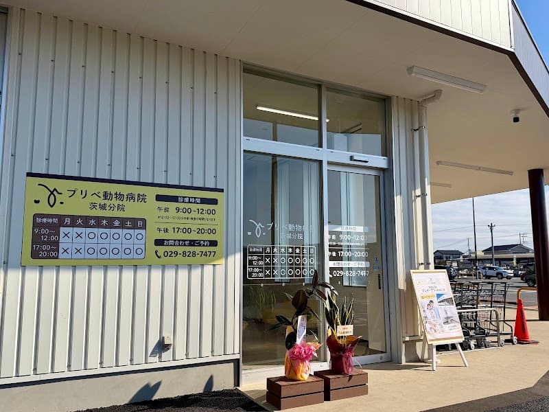 プリべ動物病院 茨城分院の写真