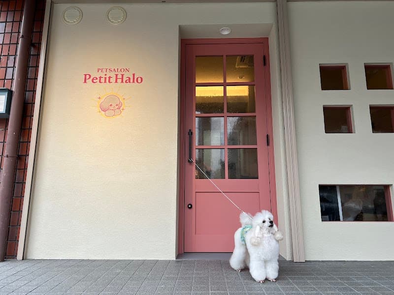 PETSALON Petit Haloの写真