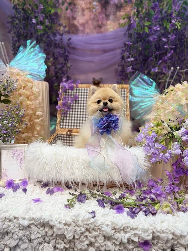 Salon de BIOGANCE 千葉店の写真