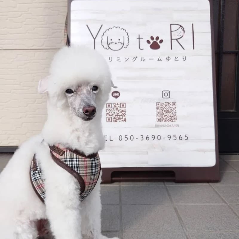 岡山市北区|トリミングルームYU to RI (犬/トリミングサロン・爪切り)の写真