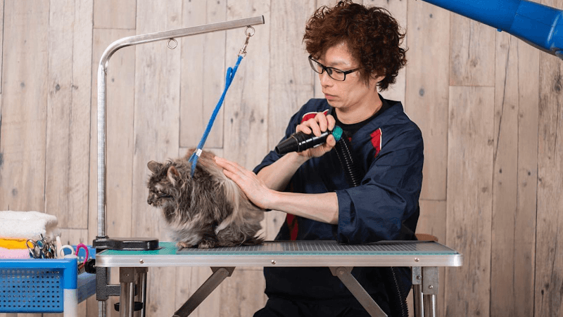 Dog Salon JOY / ドッグサロンジョイの写真