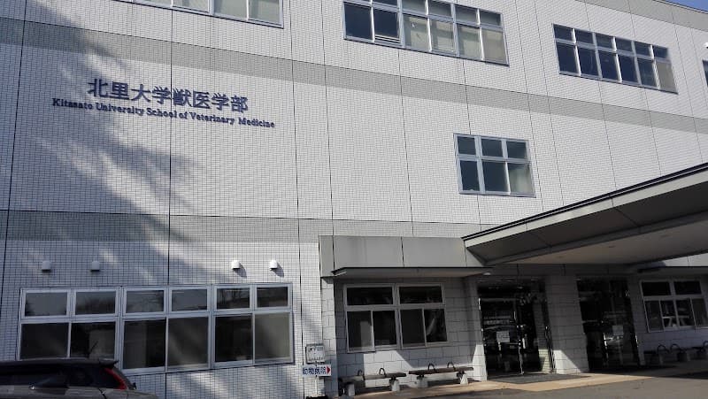 北里大学獣医学部附属動物病院 小動物診療センターの写真