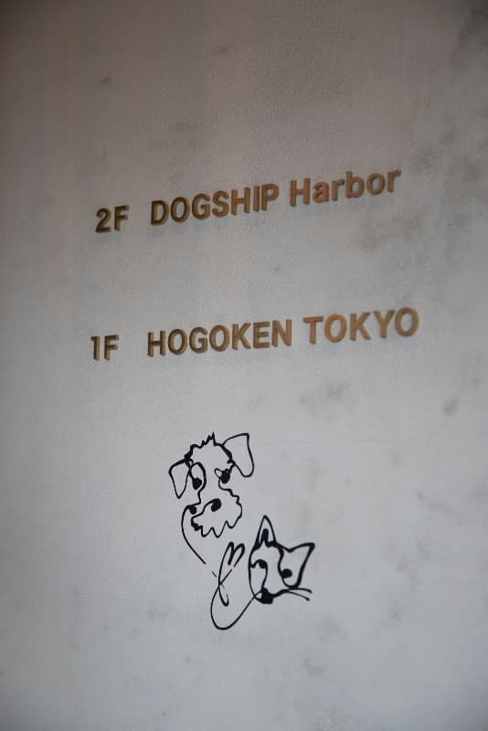 DOGSHIP HARBORの写真