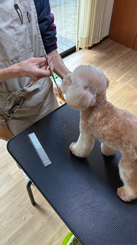 トリミングルーム こよりの写真