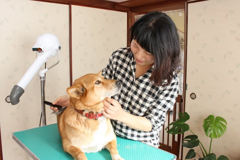 ペットサロン トトの写真