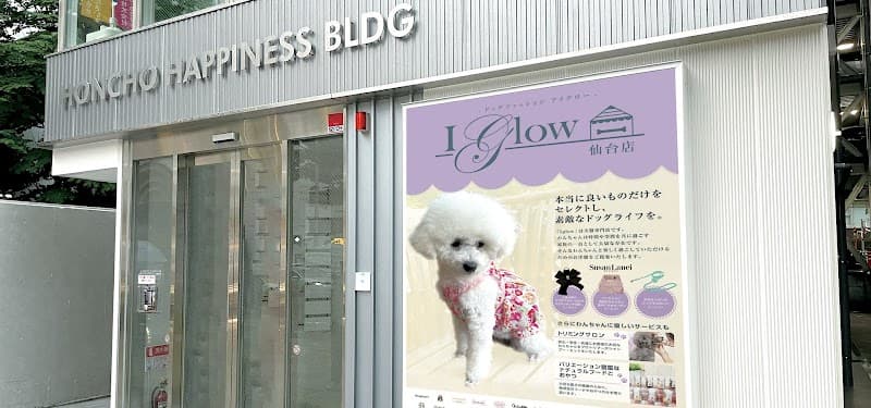 I glow(アイグロー)仙台 トリミング・一時預かり・犬の保育園の写真1