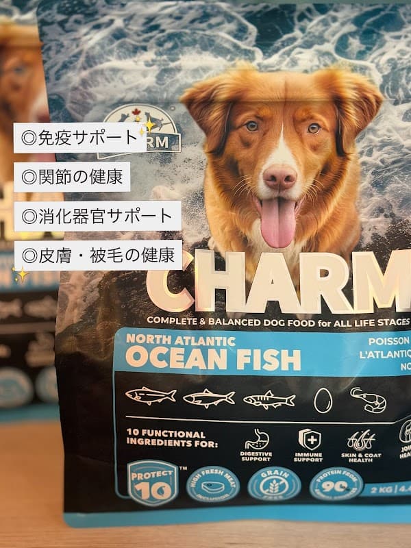 petsalon MINAの写真