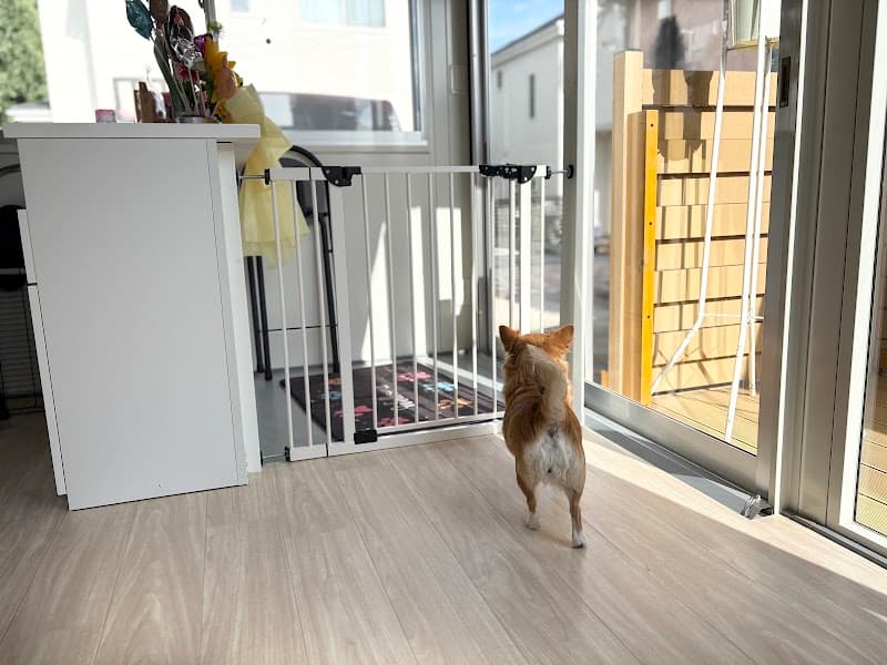 トリミングサロン Cocop!n,の写真4