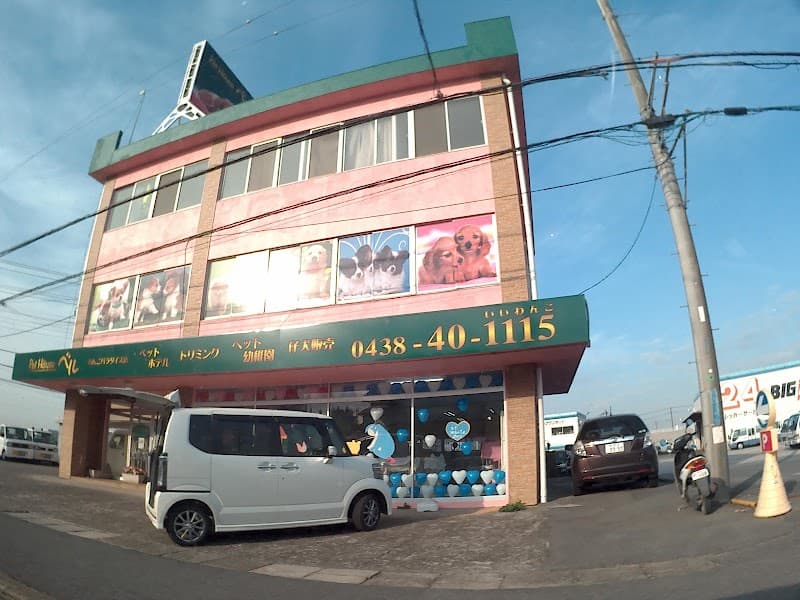 ペットハウスベルわんこパラダイス店の写真