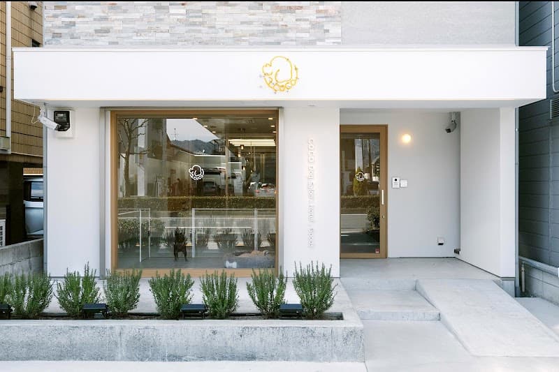 CoCo kitayama - Dog Salon / Hotelの写真