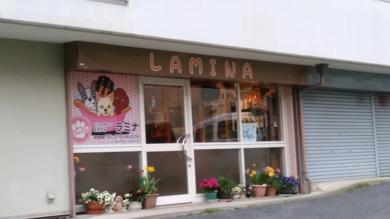 ペットサロン・ホテルLAMINAの写真1