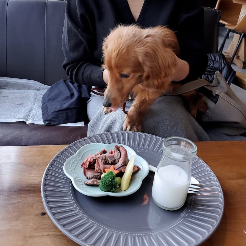 ポケットドッグの写真4