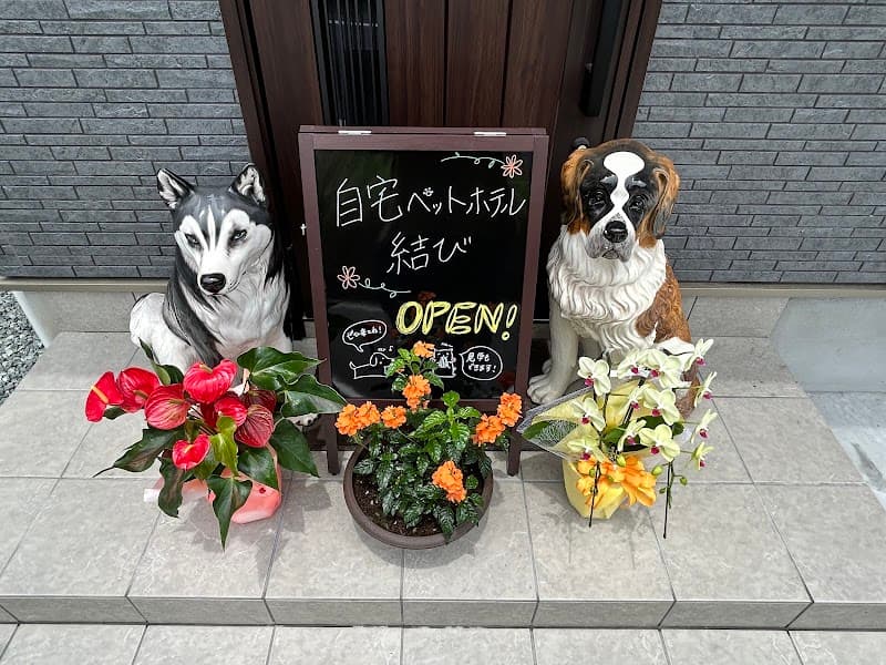 自宅ペットホテル結びの写真1