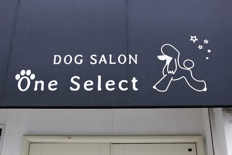 DOG SALON One Select(ワンセレクト)の写真