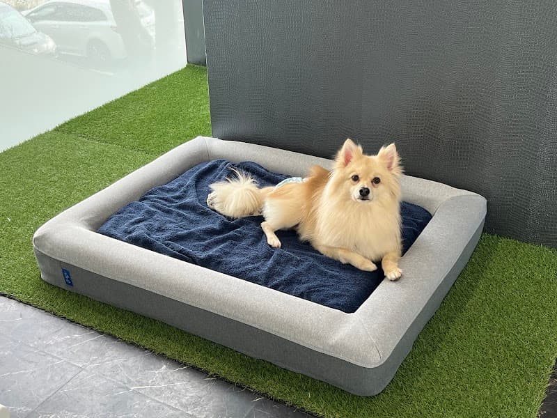 PREMIER DOG HOTEL プレミアドッグホテル 郡山の写真