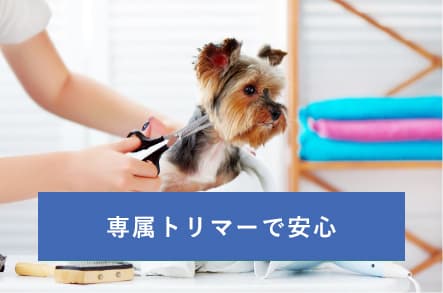 トリミング&ペットホテル (アニホック動物医療センター内)の写真1