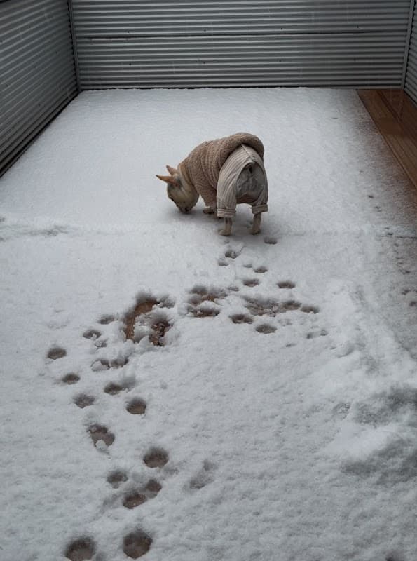 荻川どうぶつ病院の写真