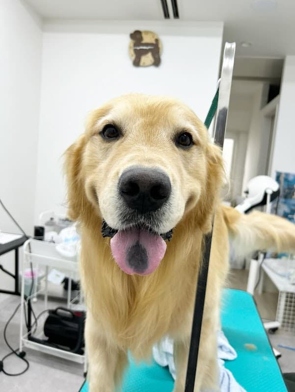 ペットホテル&トリミングサロン ワンルーク奈良学園前店の写真5