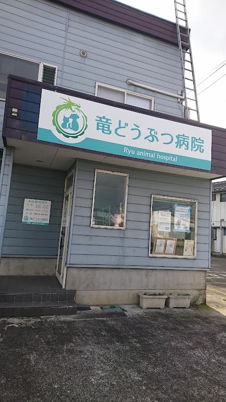 竜どうぶつ病院の写真
