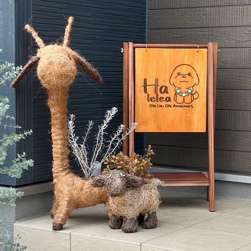 Halelea/犬の保育園・ドッグホテルの写真