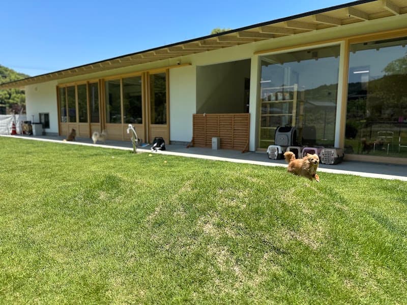 Olu 小型犬専用ドッグラン&ペットホテルの写真