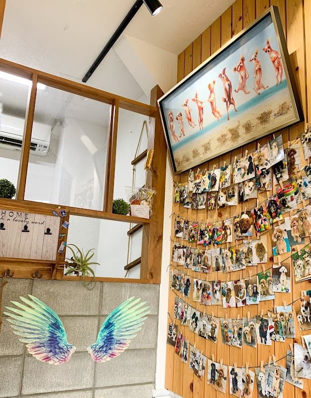 Dogsalon SunnyFlutterの写真