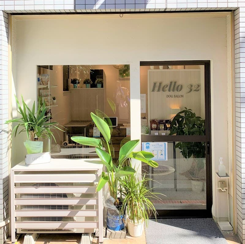 DOGSALON Hello32の写真