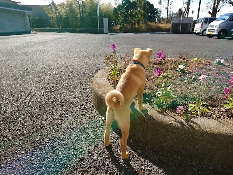 あおい動物病院の写真