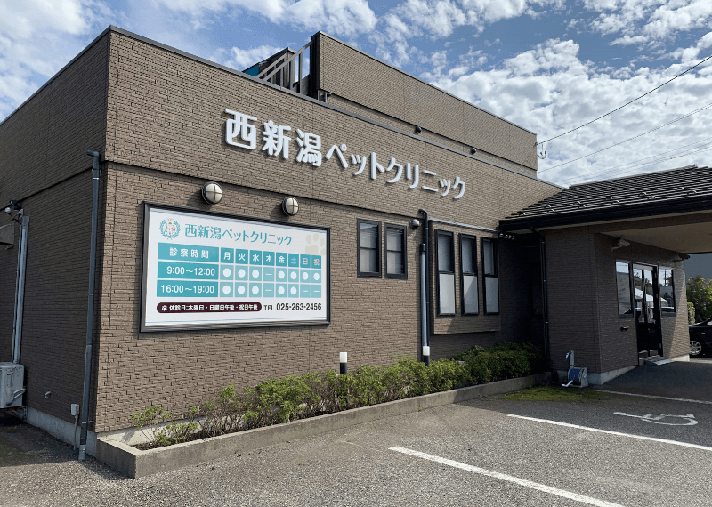 西新潟ペットクリニックの写真