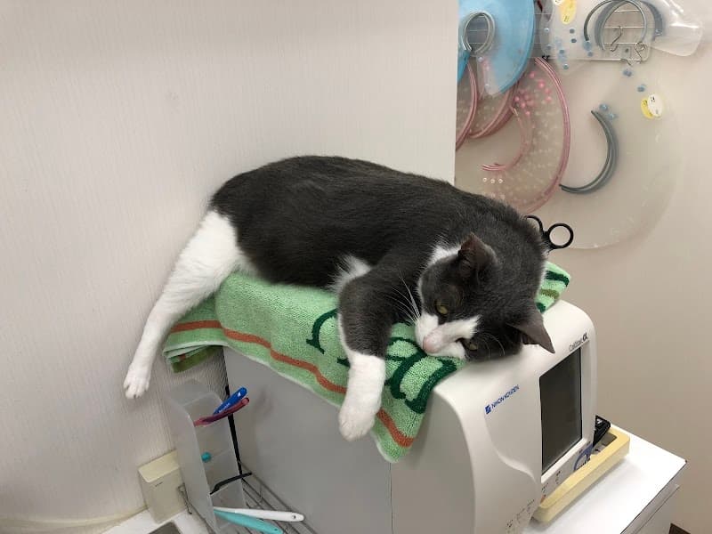 モア・ペットクリニックの写真