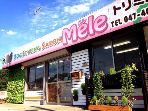 DogStylingSalon Mele 〜トリミングサロン メレ〜の写真