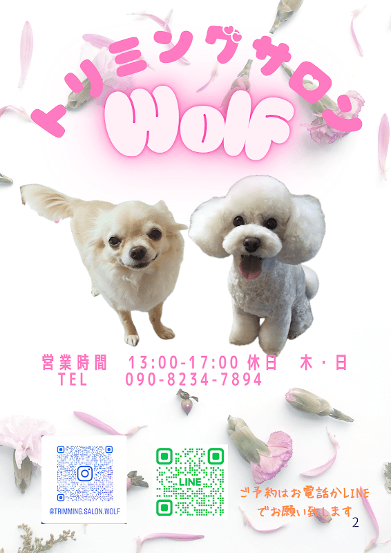 トリミングサロンwolfの写真5