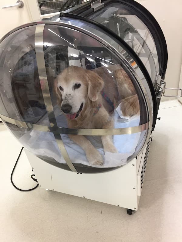 アネモネ動物病院の写真