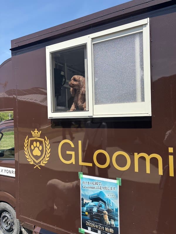 GLoomin.の写真