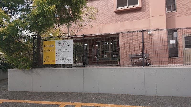 シャンプーパパの写真