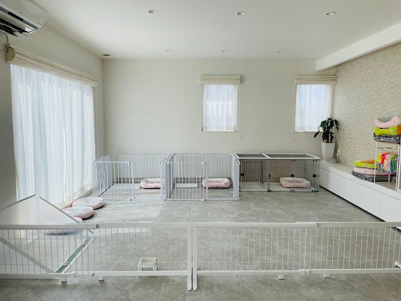 WANPIRIKA DOGHOTEL&GOODSの写真1