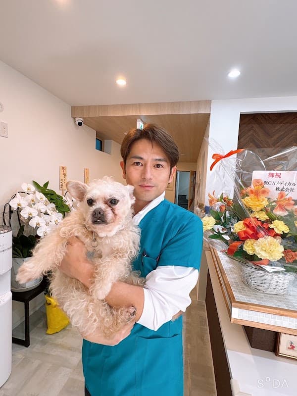 浅草どうぶつ医療センター&高度どうぶつ歯科・CTセンターの写真