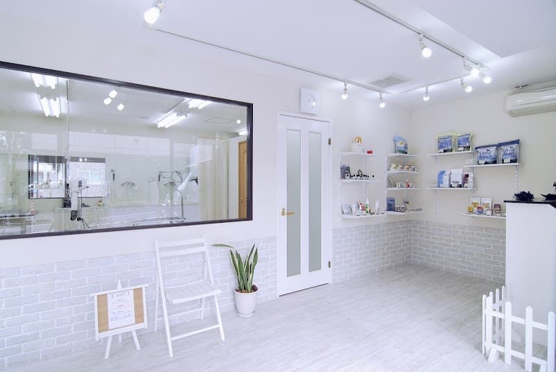 Dog-Salon Groom ドッグサロン グルームの写真