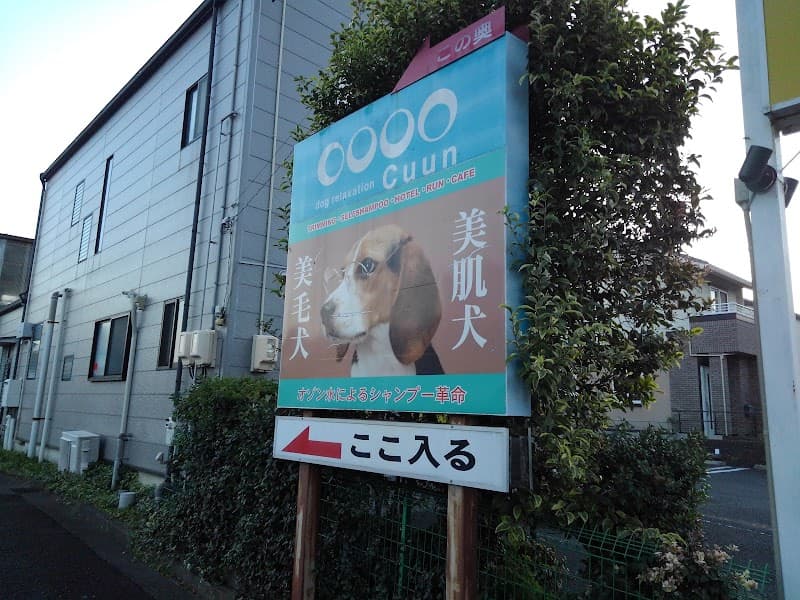 dog relaxation Cuunの写真1