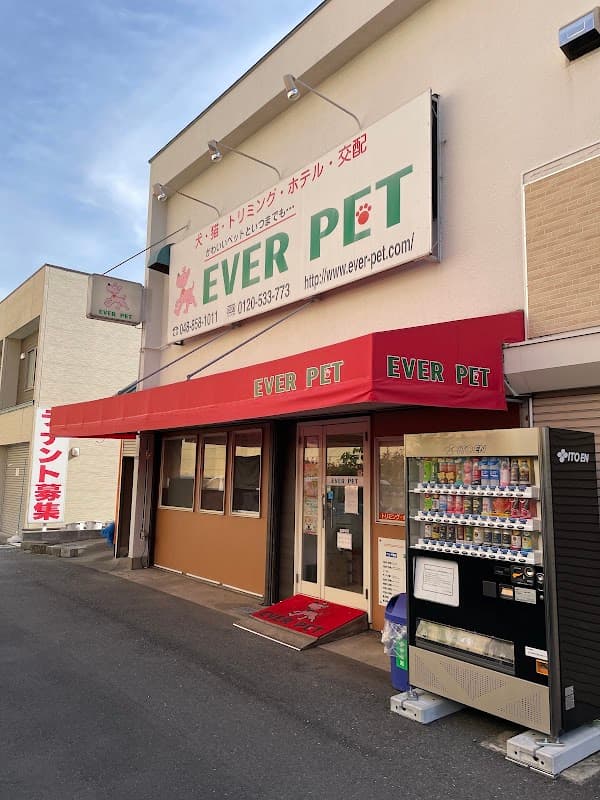 エバーペット本店の写真