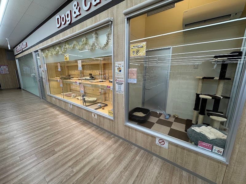 Zoomore高岡昭和町店生体部門の写真