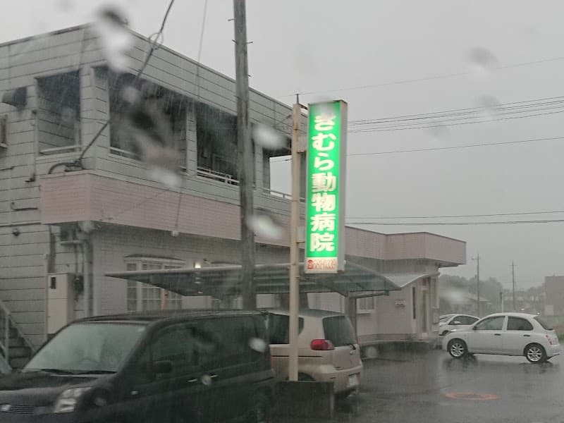 きむら動物病院の写真