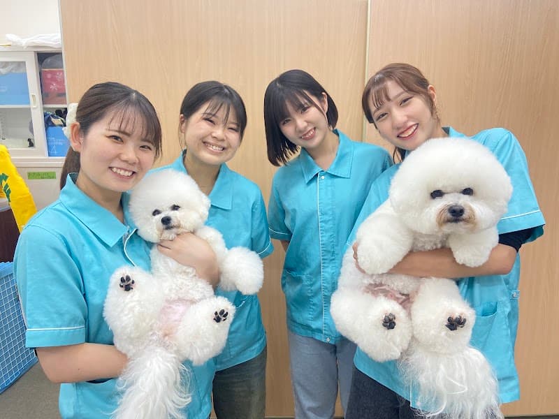 ナンバペット美容学院の写真