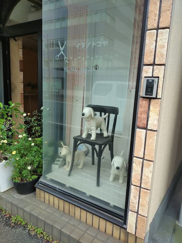 イヌノトコヤの写真