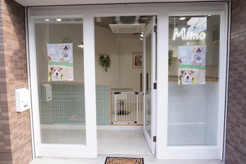 DOGSALON Miinoの写真1