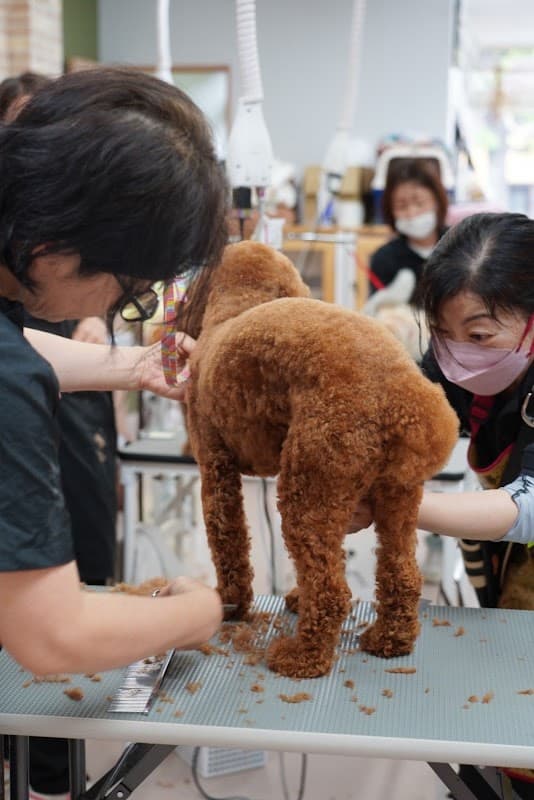 横浜グルーミングスクールTSURUMIの写真