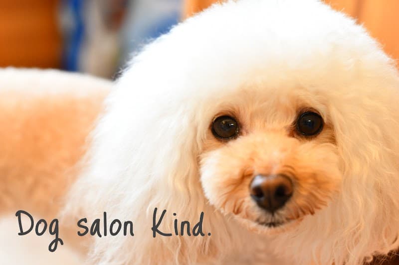 Dogsalon Kind.の写真