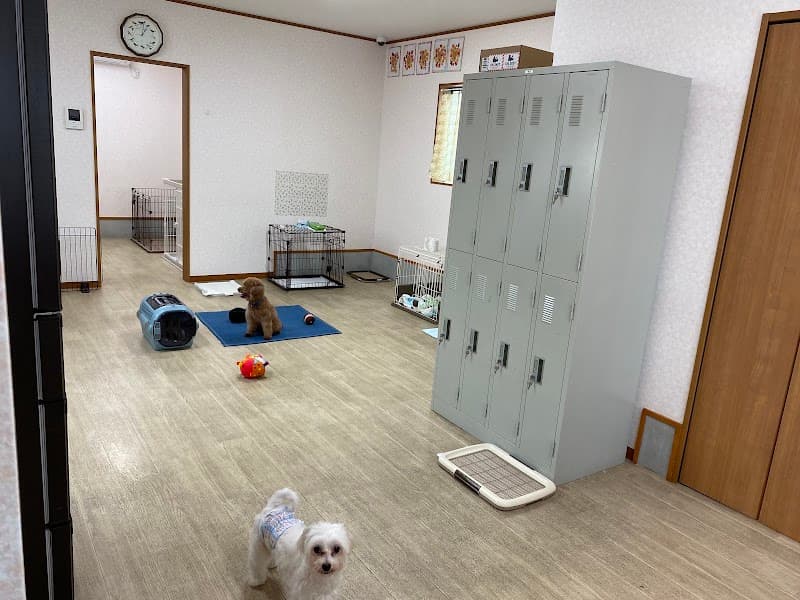 トリミングサロン&ホテルばうむの写真
