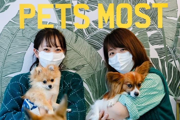 PET'S MOSTの写真1